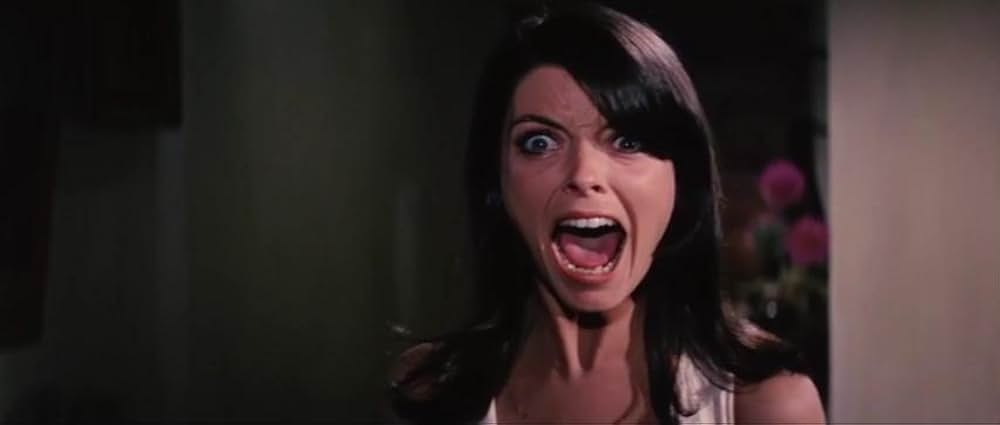 魔女の山の画像