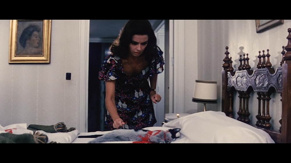 魔女の山の画像