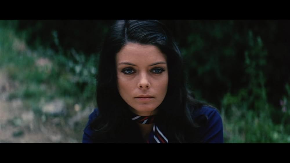 魔女の山の画像