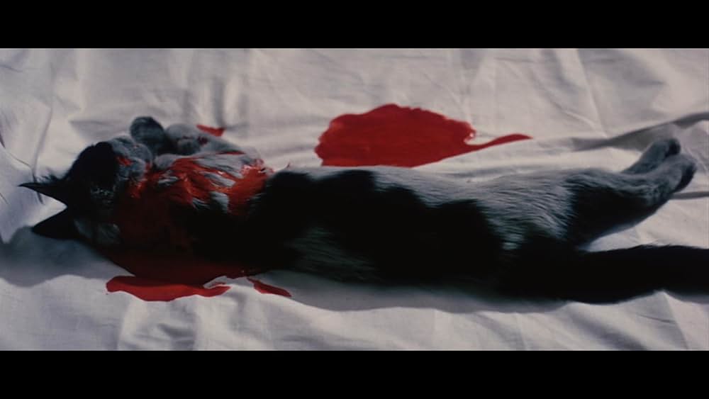 魔女の山の画像