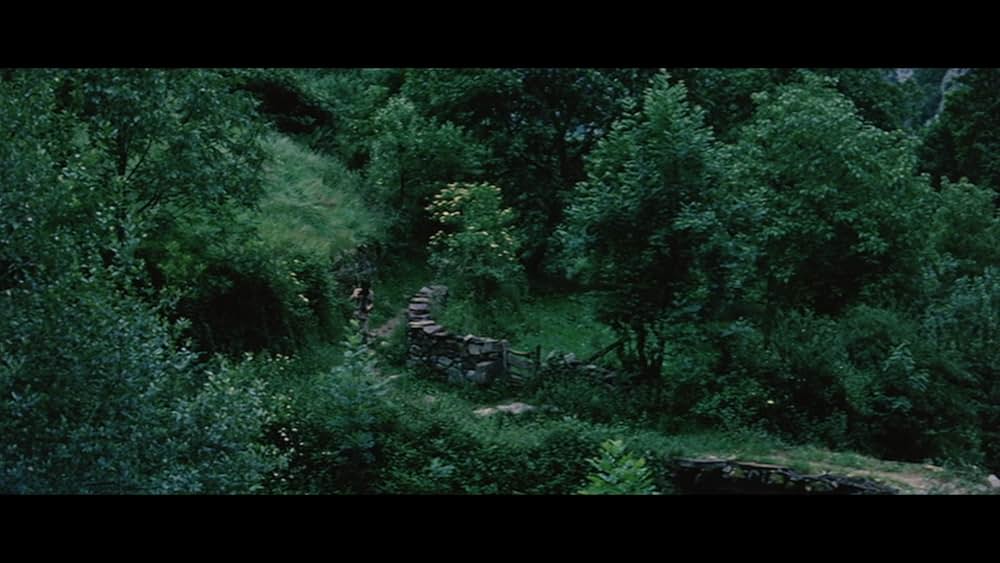 魔女の山の画像