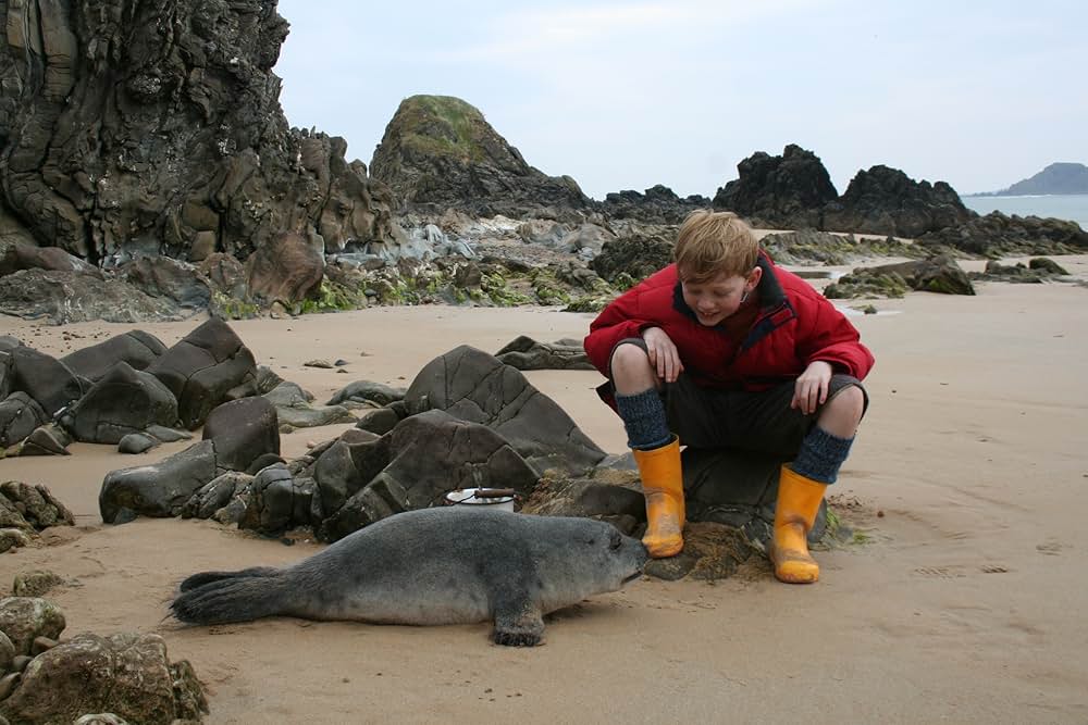 A Shine of Rainbows（原題）の画像