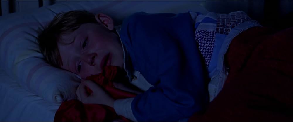 A Shine of Rainbows（原題）の画像