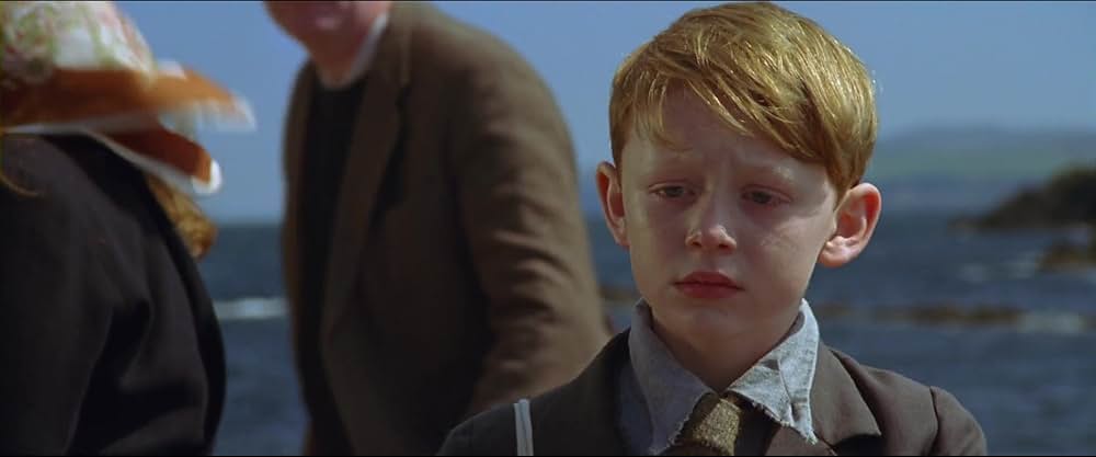 A Shine of Rainbows（原題）の画像