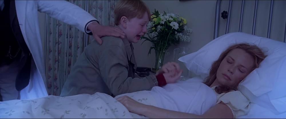 A Shine of Rainbows（原題）の画像