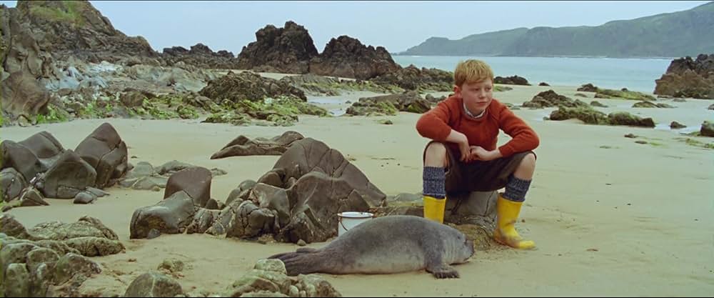 A Shine of Rainbows（原題）の画像