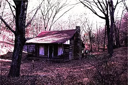 死霊のはらわたの画像