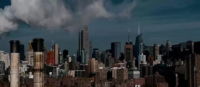 セルフレス／覚醒した記憶の画像