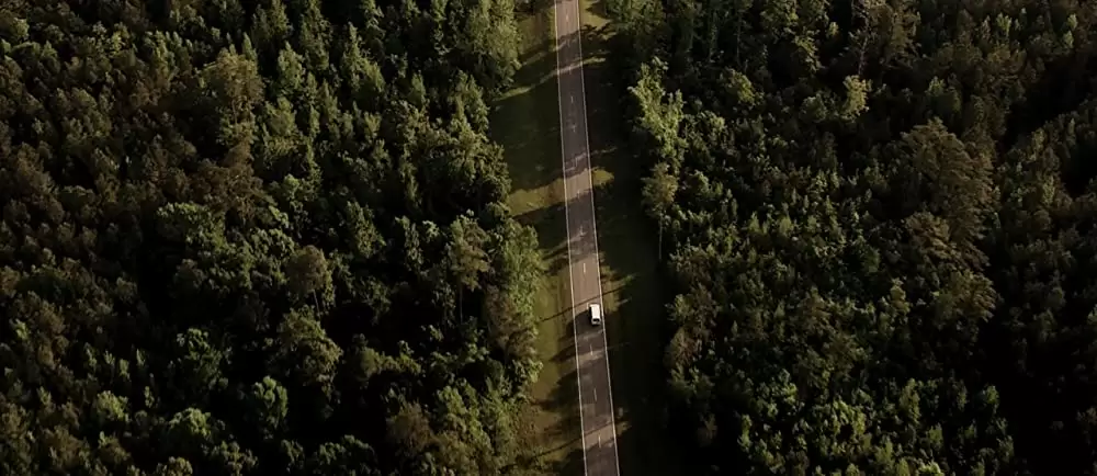 セルフレス／覚醒した記憶の画像