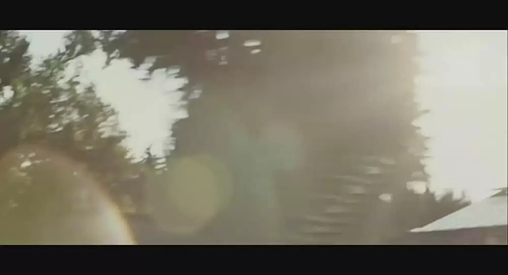 「THE WAVE ウェイヴ」の画像