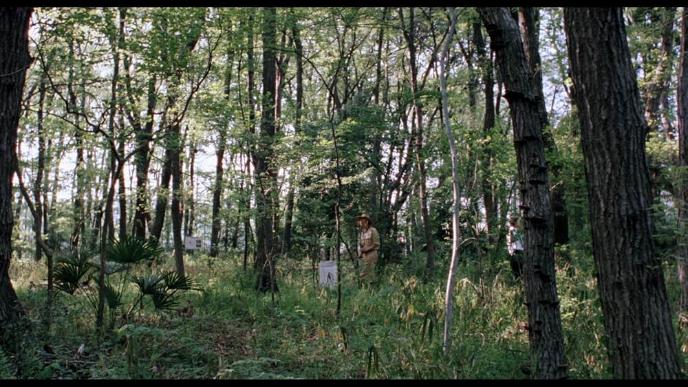 そして父になるの画像