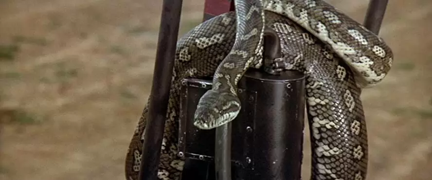 マッドマックス2の画像