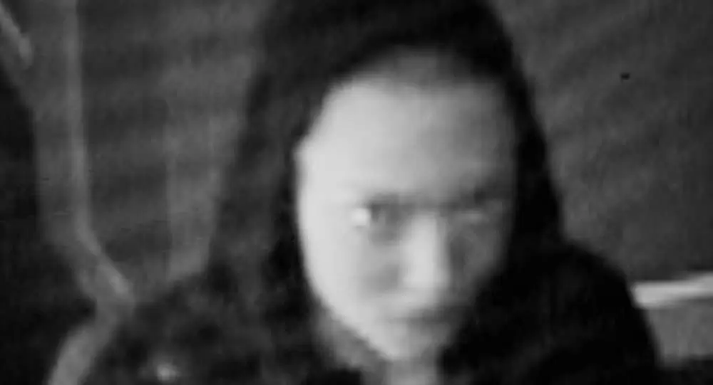 「ジェニファーズ・ボディ」アマンダ・セイフライドの画像