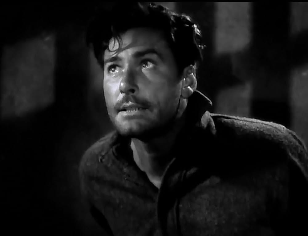 影の栄光の画像