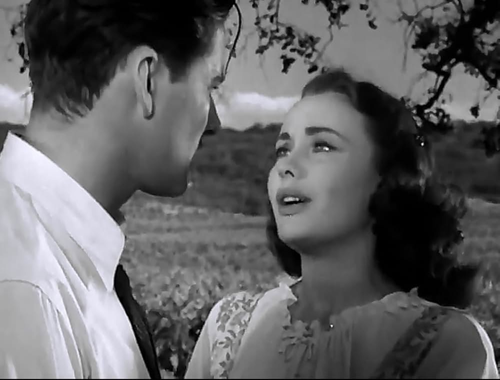 影の栄光の画像