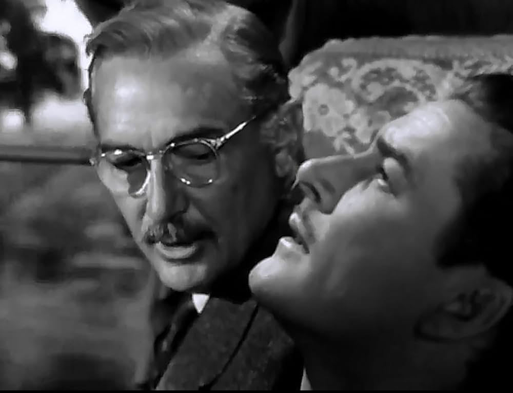 影の栄光の画像