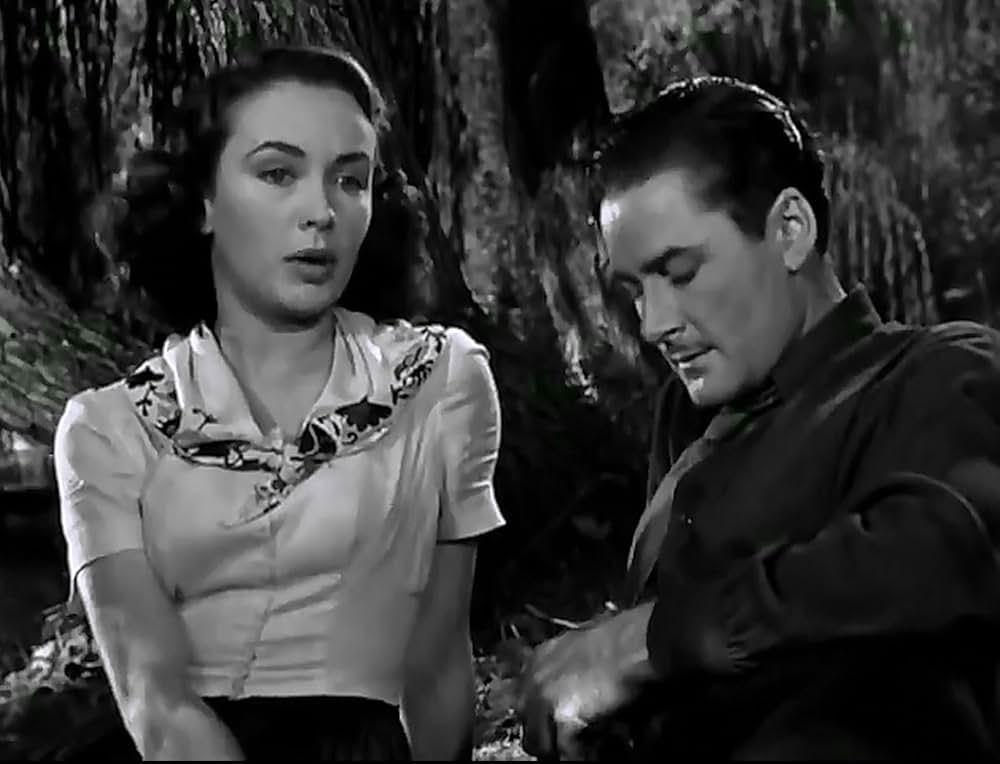 影の栄光の画像