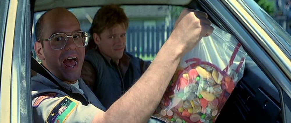 チェイン・オブ・フールズの画像