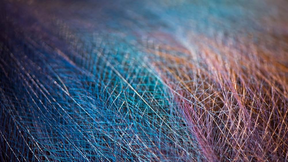 アッテンボロー 極楽鳥の世界の画像