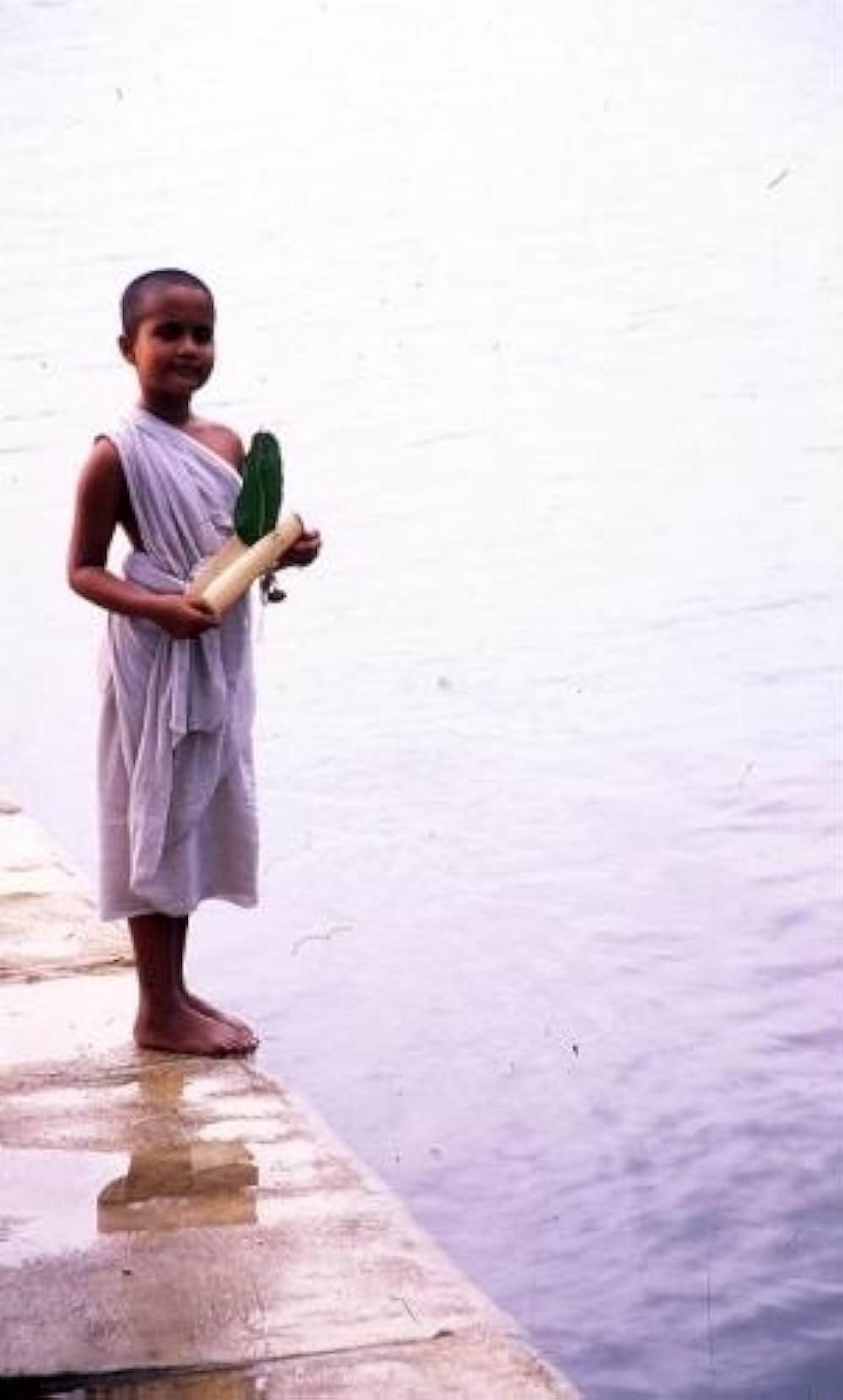 とらわれの水の画像