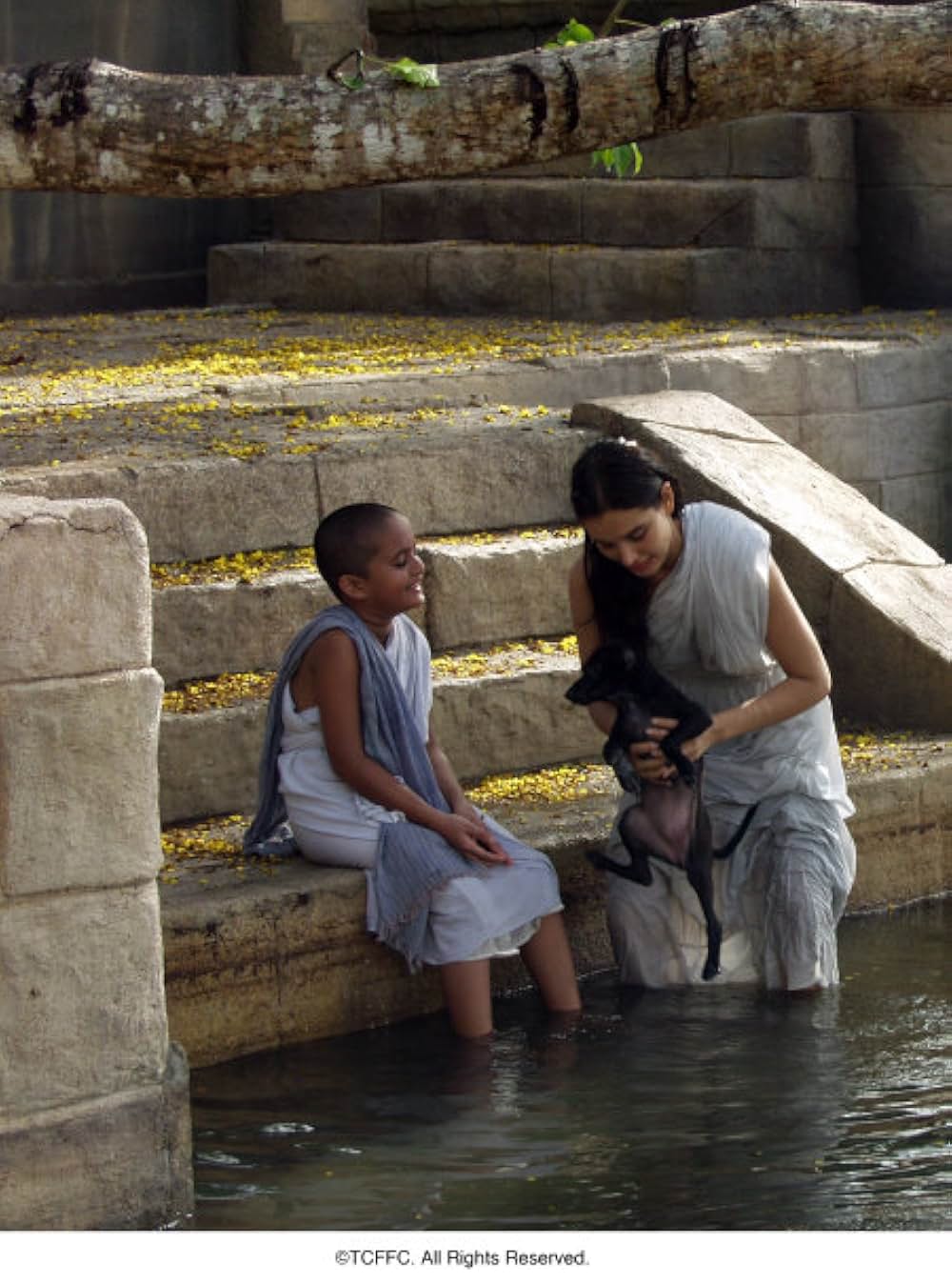 とらわれの水の画像