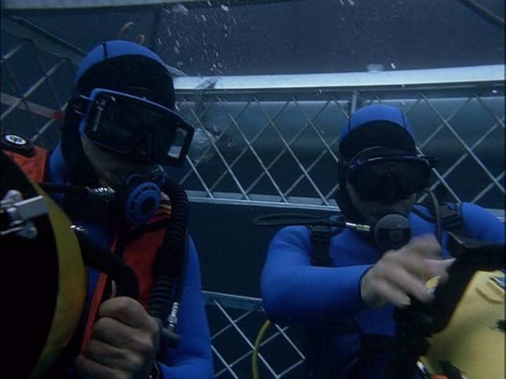 ディープシャークの画像