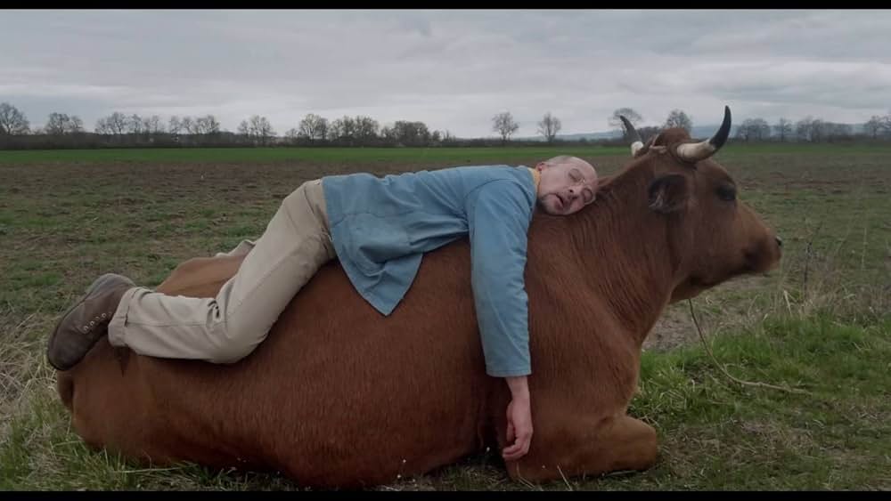 ある男と牛の画像