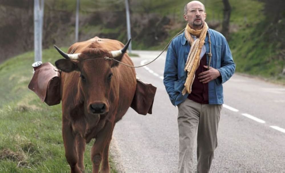 ある男と牛の写真