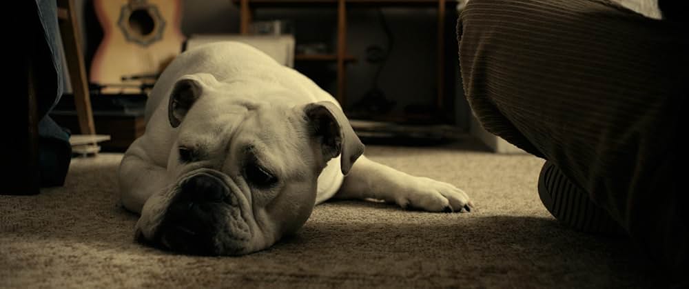 ヴィクトリアの画像