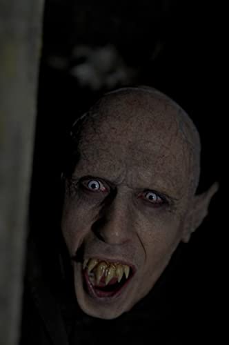 シェアハウス・ウィズ・ヴァンパイアの画像