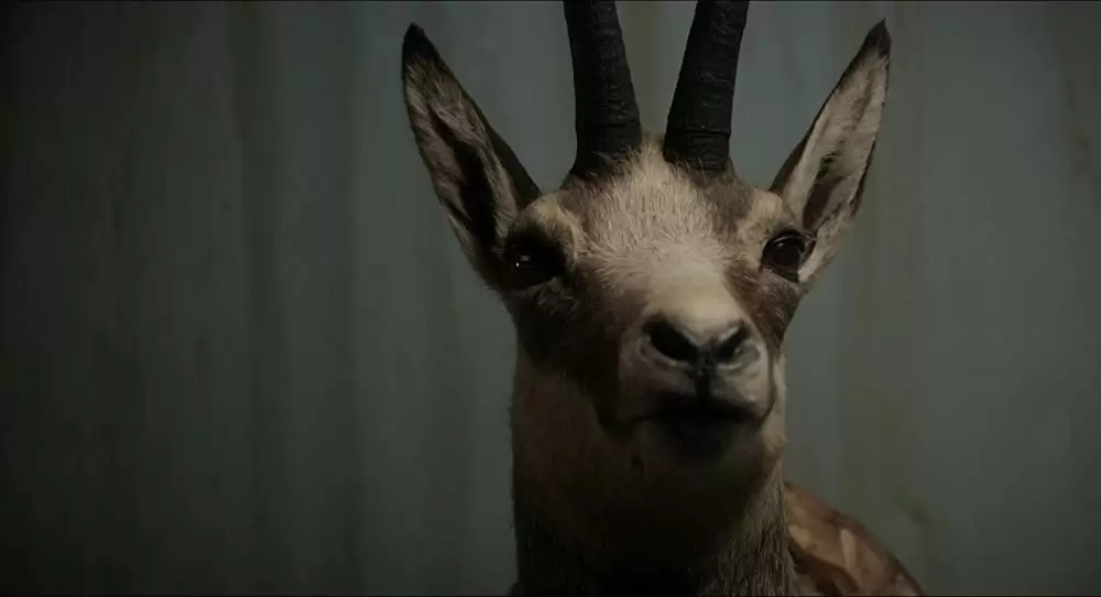 シェアハウス・ウィズ・ヴァンパイアの画像