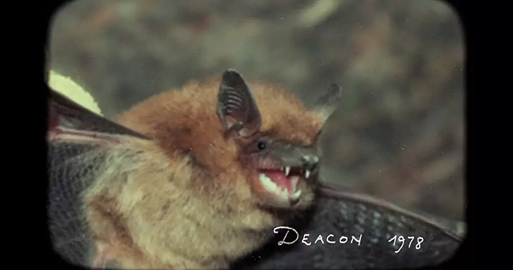 シェアハウス・ウィズ・ヴァンパイアの画像