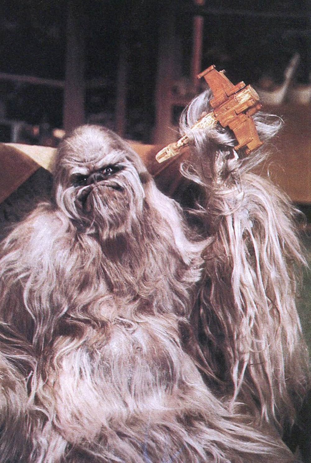 スター・ウォーズ・ホリデー・スペシャルの画像