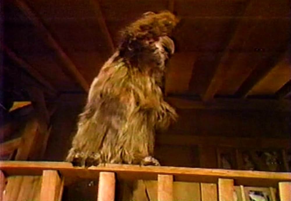 スター・ウォーズ・ホリデー・スペシャルの画像