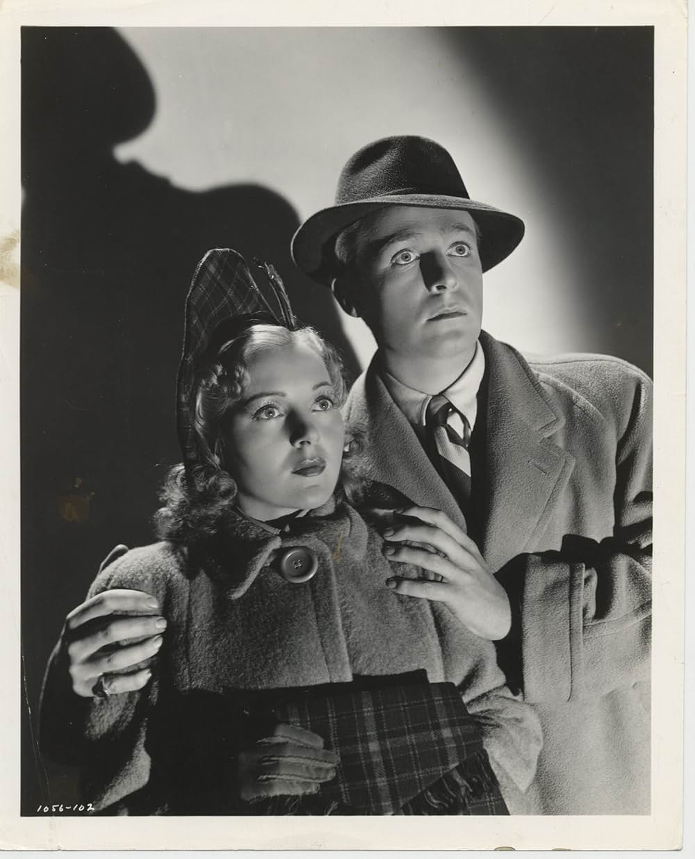 愚者の歓喜の画像