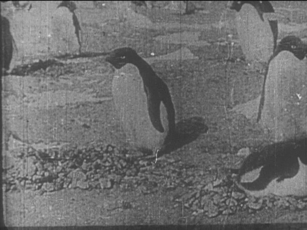 日本南極探検の写真