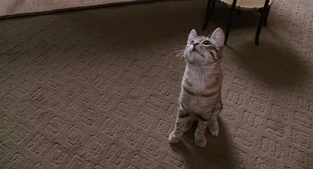 最終絶叫計画4の画像