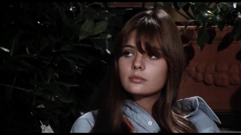 The Terrace（英題）の画像