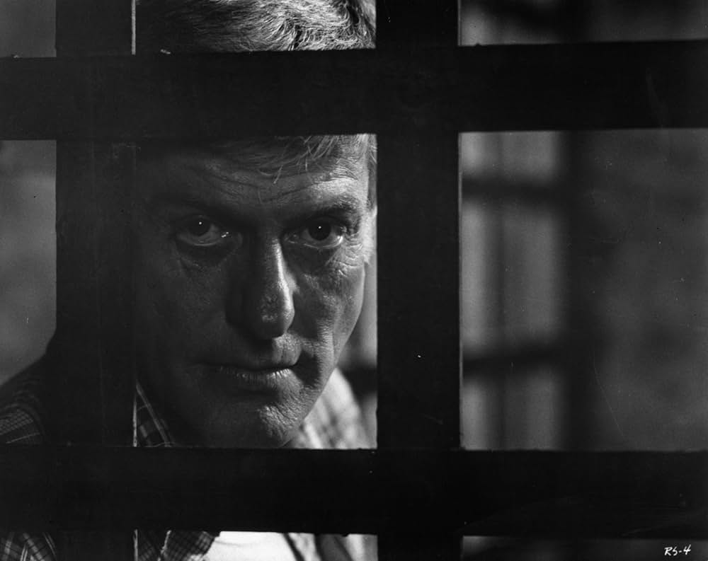 ザ・ランナー・スタンブルズ（原題）の画像