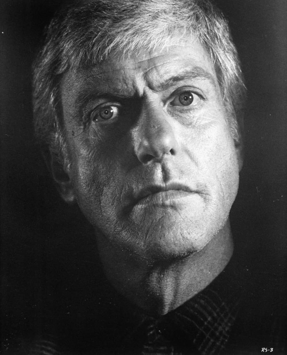 ザ・ランナー・スタンブルズ（原題）の画像