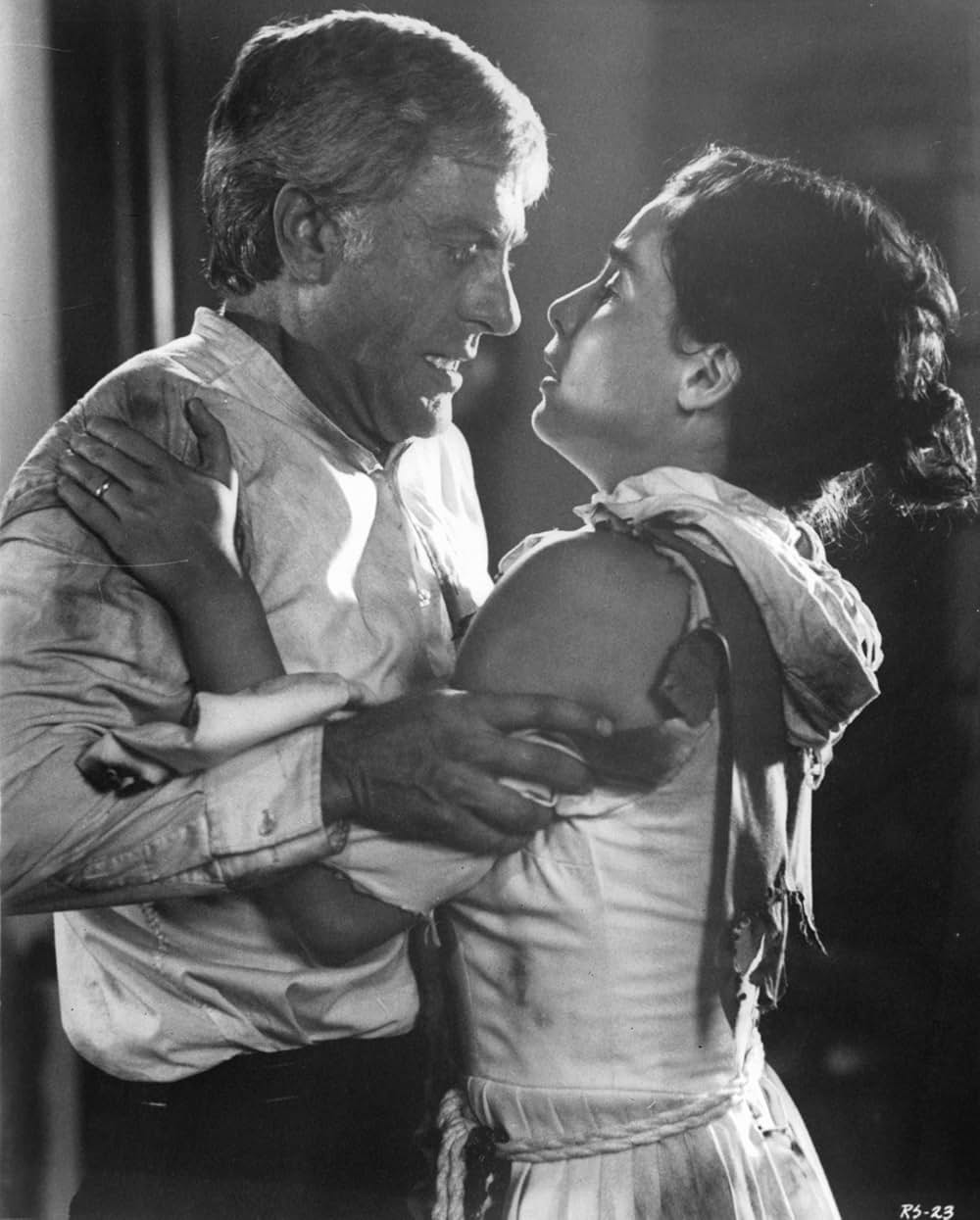 ザ・ランナー・スタンブルズ（原題）の画像