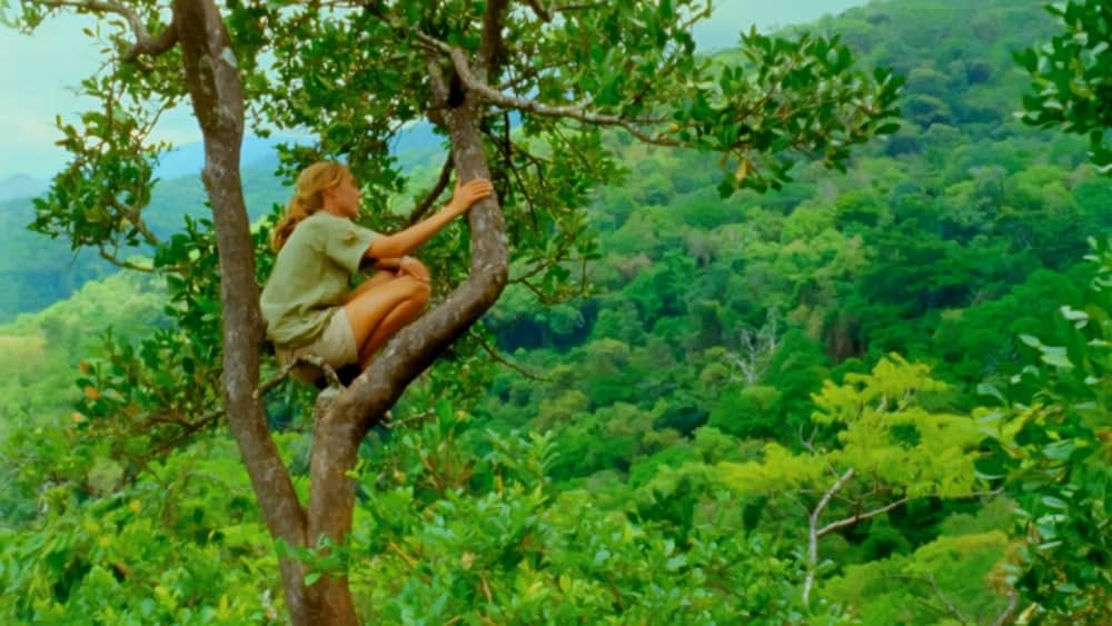 ジェーン・グドールの軌跡の画像