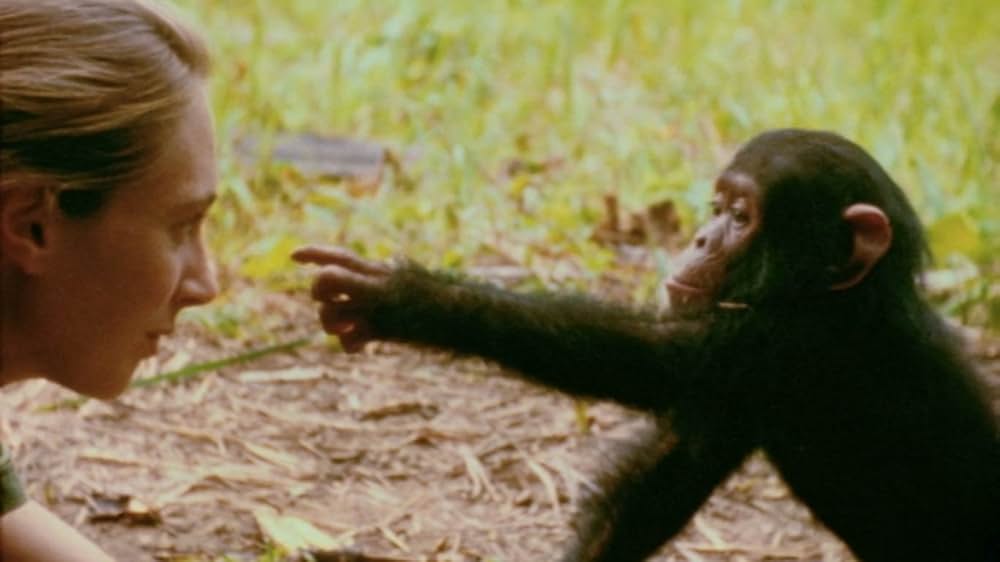 ジェーン・グドールの軌跡の画像