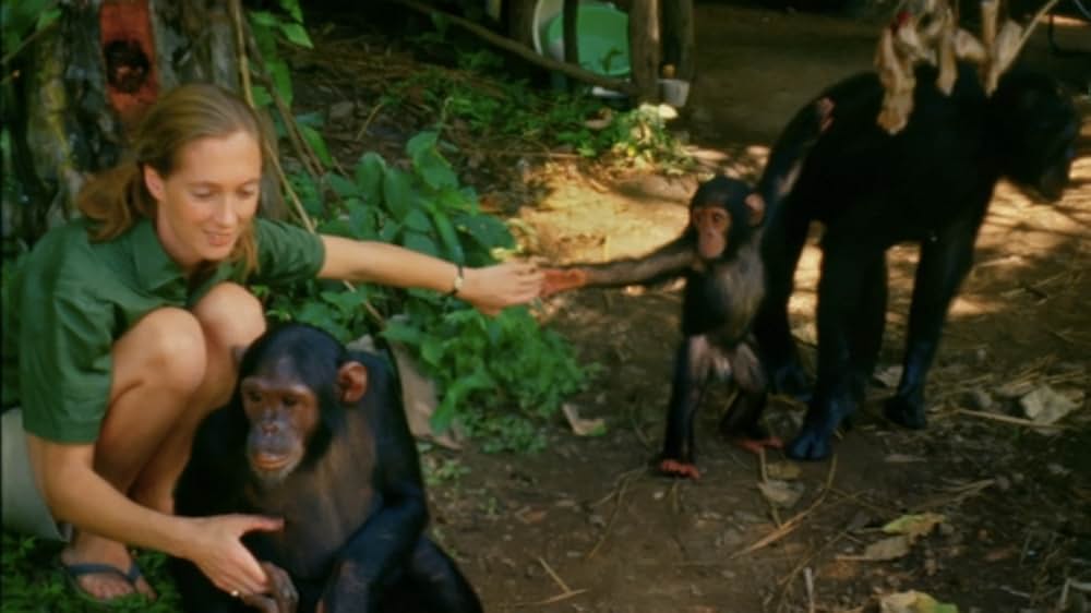 ジェーン・グドールの軌跡の画像