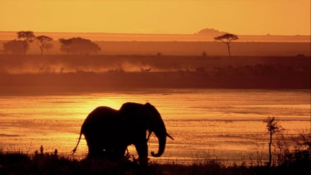 ジェーン・グドールの軌跡の画像