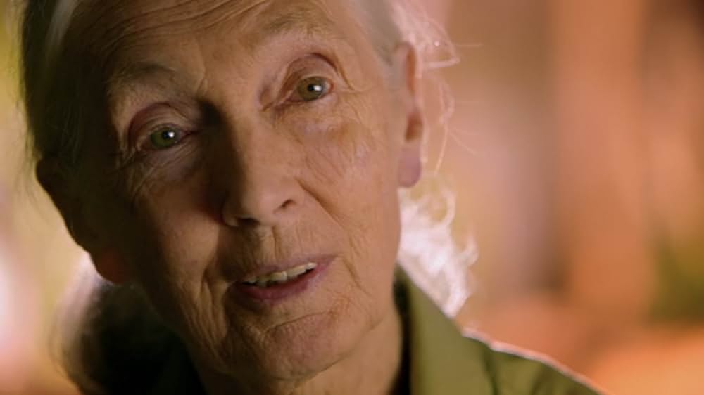 ジェーン・グドールの軌跡の画像