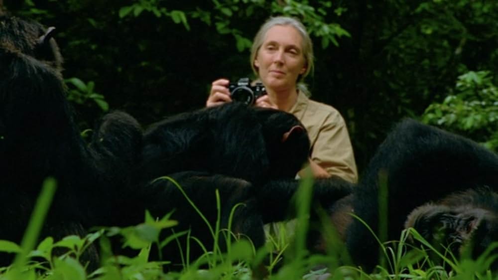 ジェーン・グドールの軌跡の画像