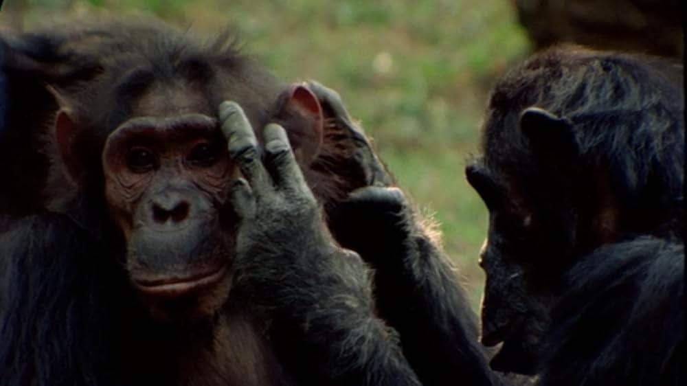 ジェーン・グドールの軌跡の画像