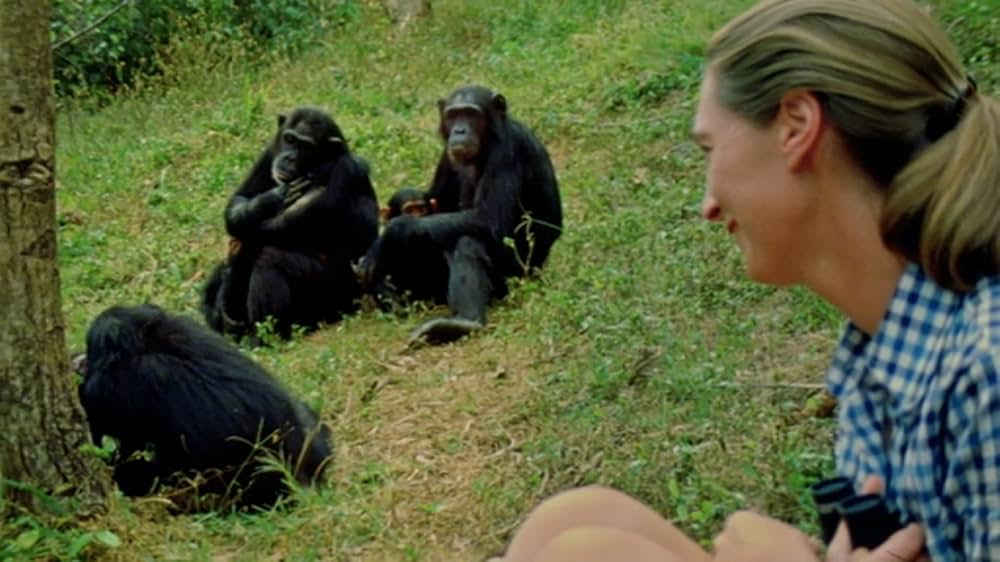 ジェーン・グドールの軌跡の画像