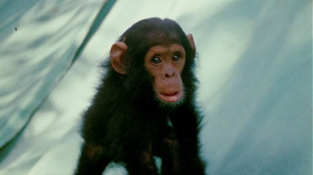 ジェーン・グドールの軌跡の画像